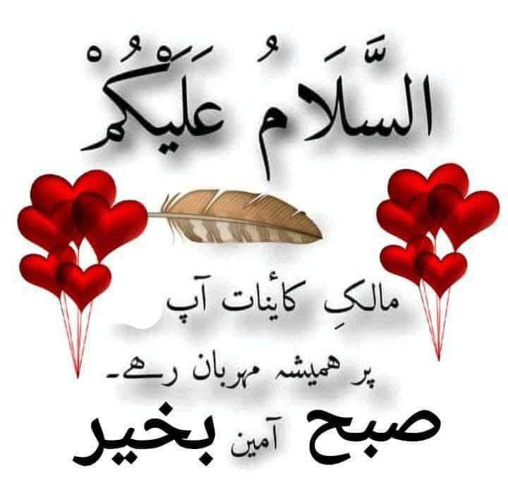 Kashif khan lodhi tweet media