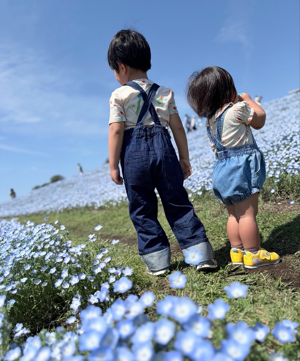 あ か り ® ４ｙ ＋ ２ｙ tweet media