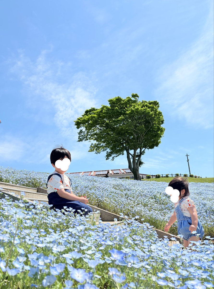 あ か り ® ４ｙ ＋ ２ｙ tweet media