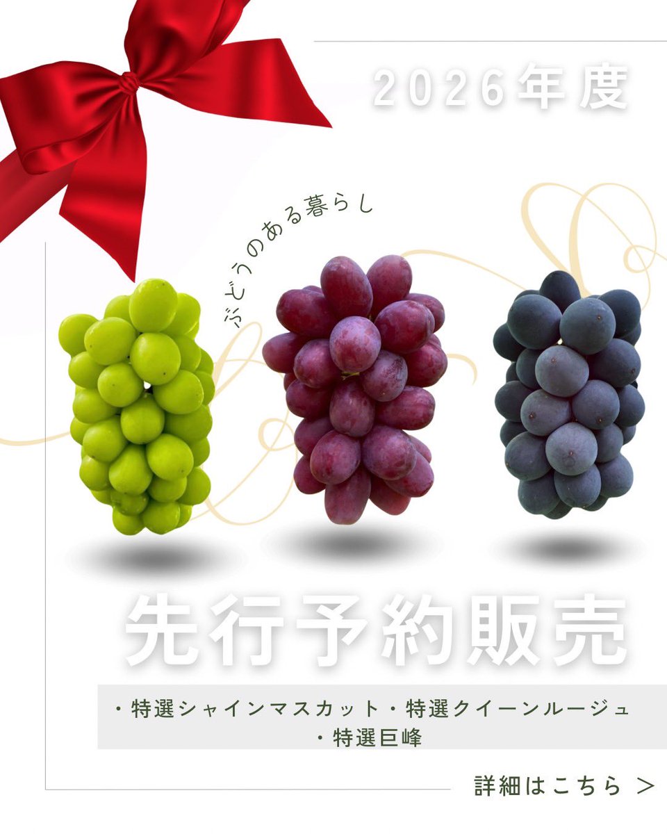🍇💎信州須坂 ぶどうの宝石箱💎伊藤ぶどうファーム３代目🍇エース🍇 tweet media