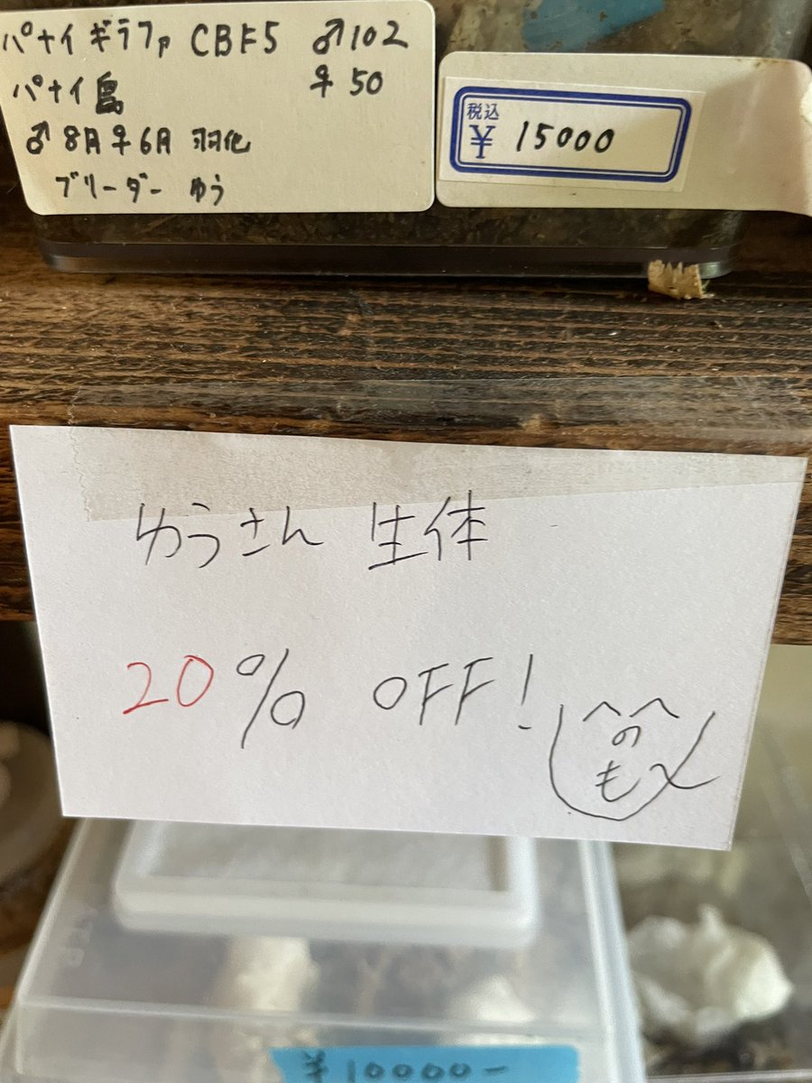 ファミリア　まっちゃん tweet media
