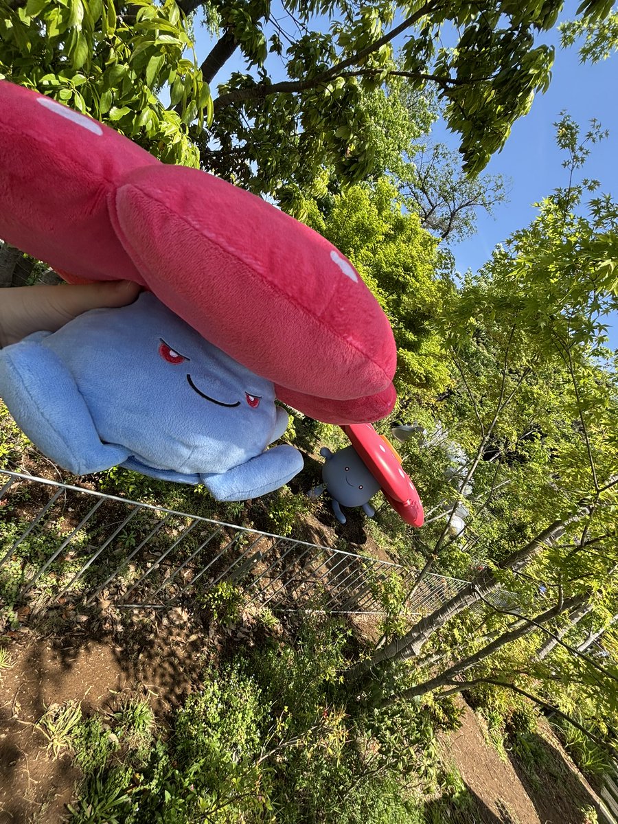 ポケパークカントーに来ています
