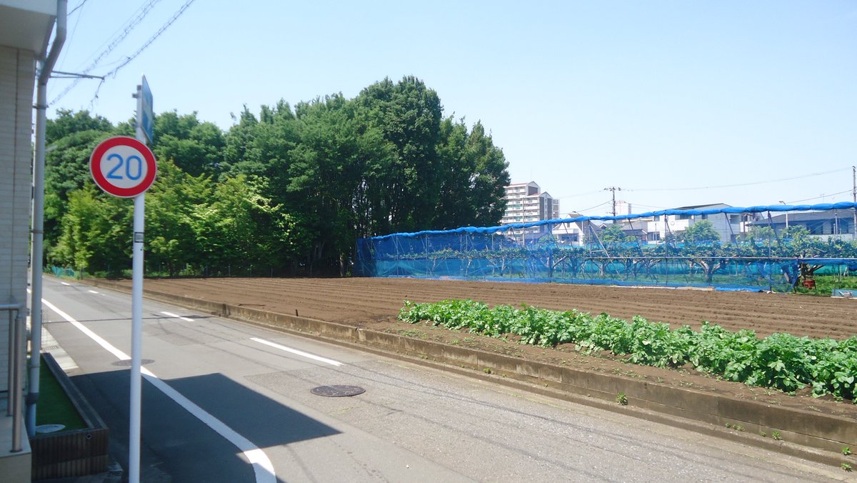 びびびのたろー(ラジオ用アカウント) tweet media