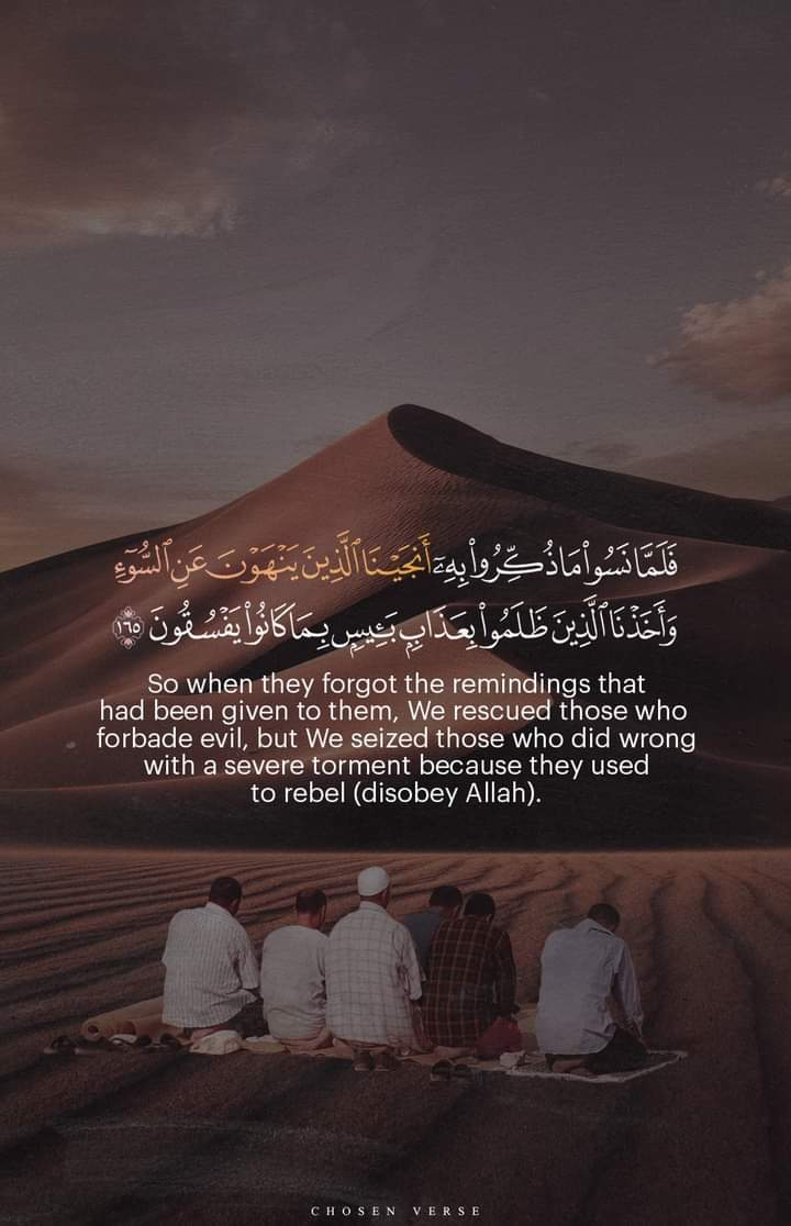 المصحف الجامع tweet media