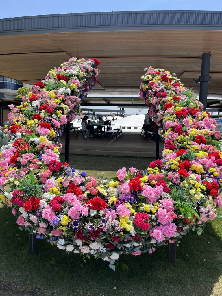 ryo_kabutoshi's tweet photo. #京都競馬場パシャリ部 https://t.co/pLH5f2JzRn