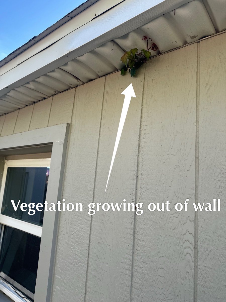 OklaInspector's tweet image. #HomeInspection pics from today.