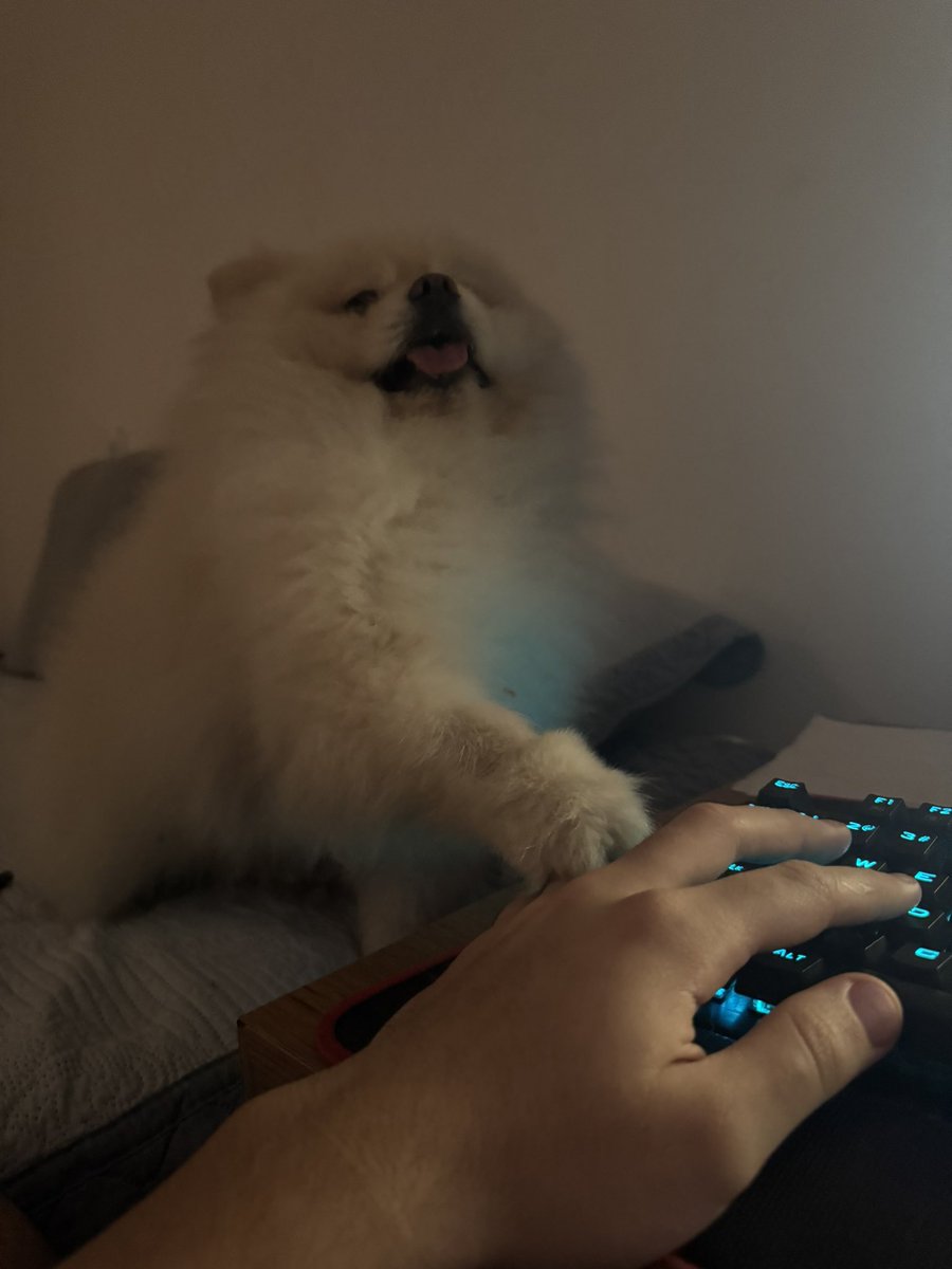 vou ter que quitar do rp pq meu cachorro quer carinho
