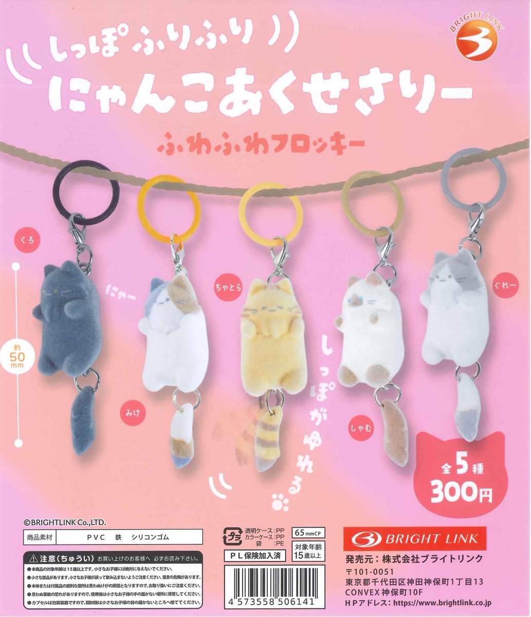 #C-pla浜松メイワン店【公式】 tweet media