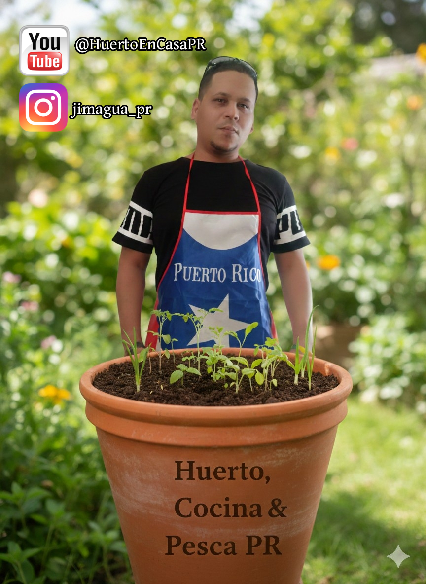 Les invito a mi Canal en YouTube!!! youtube.com/@HuertoEnCasaPR | #huertourbanopr #franciscoeljimagua  #puertorico🇵🇷 #siembraPR