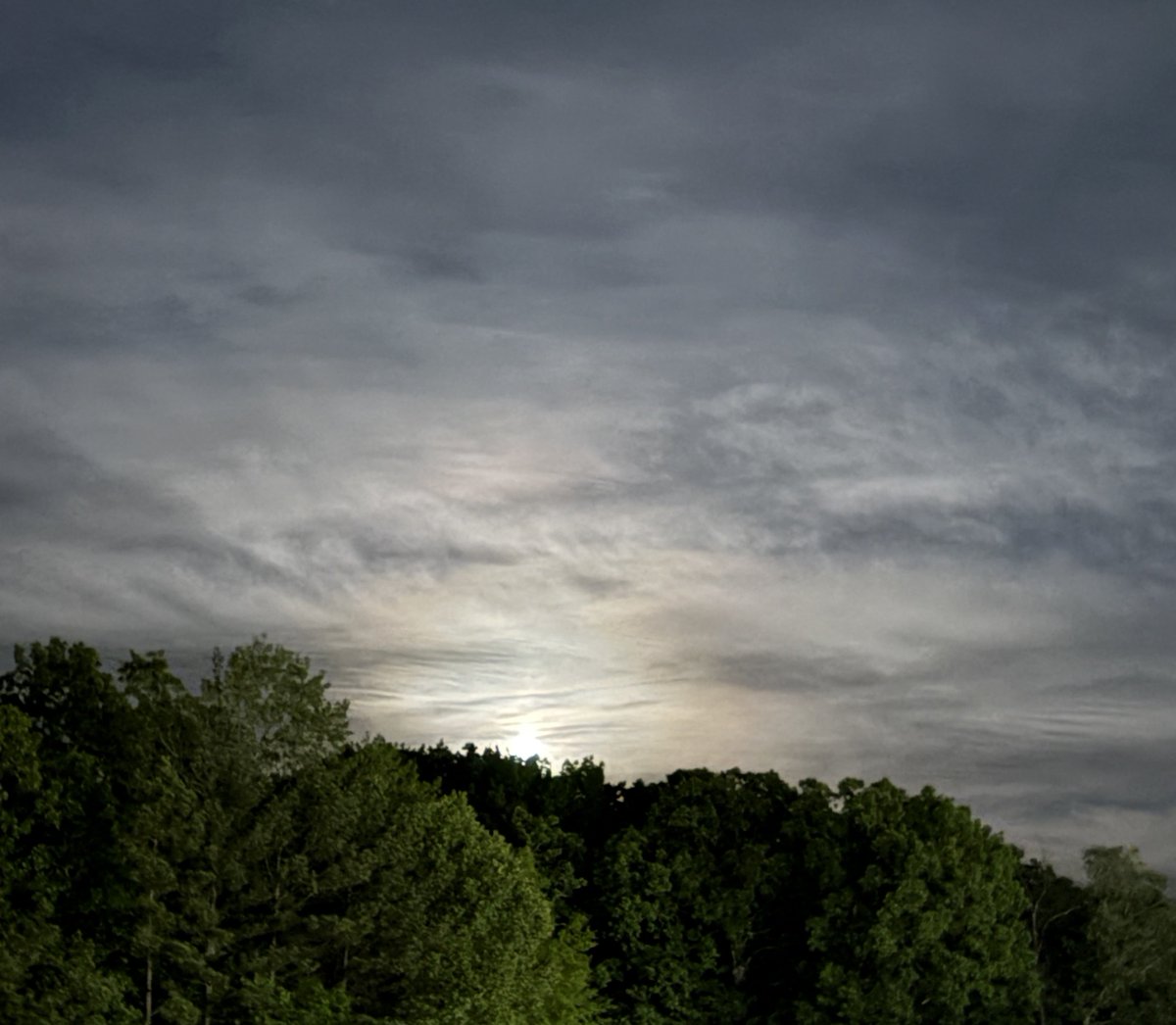 elemusing's tweet photo. Moonrise over my school’s outdoor movie night. https://t.co/wRpaK4xep4