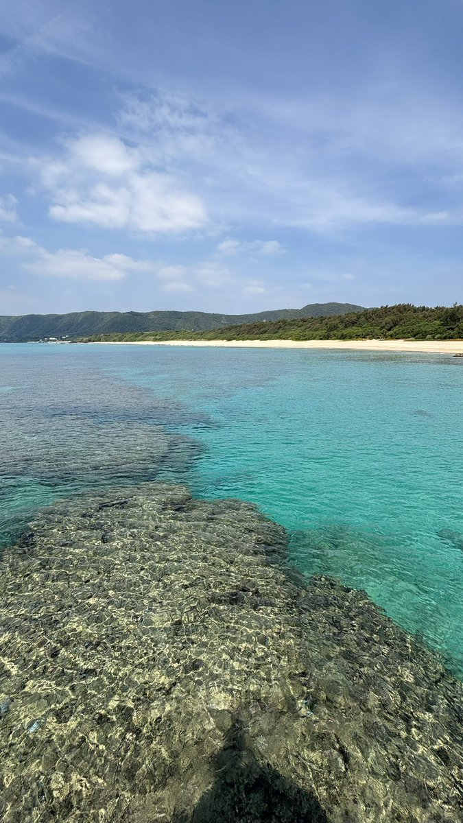 Minoru Satomura | 奄美大島の風景 tweet media