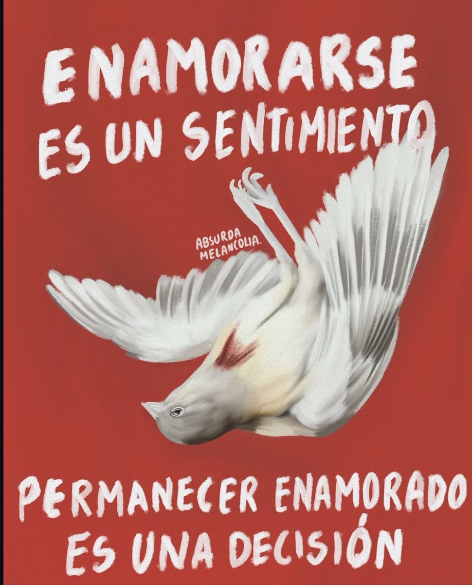 Absurda Melancolía (@absurdamela) on Twitter photo 