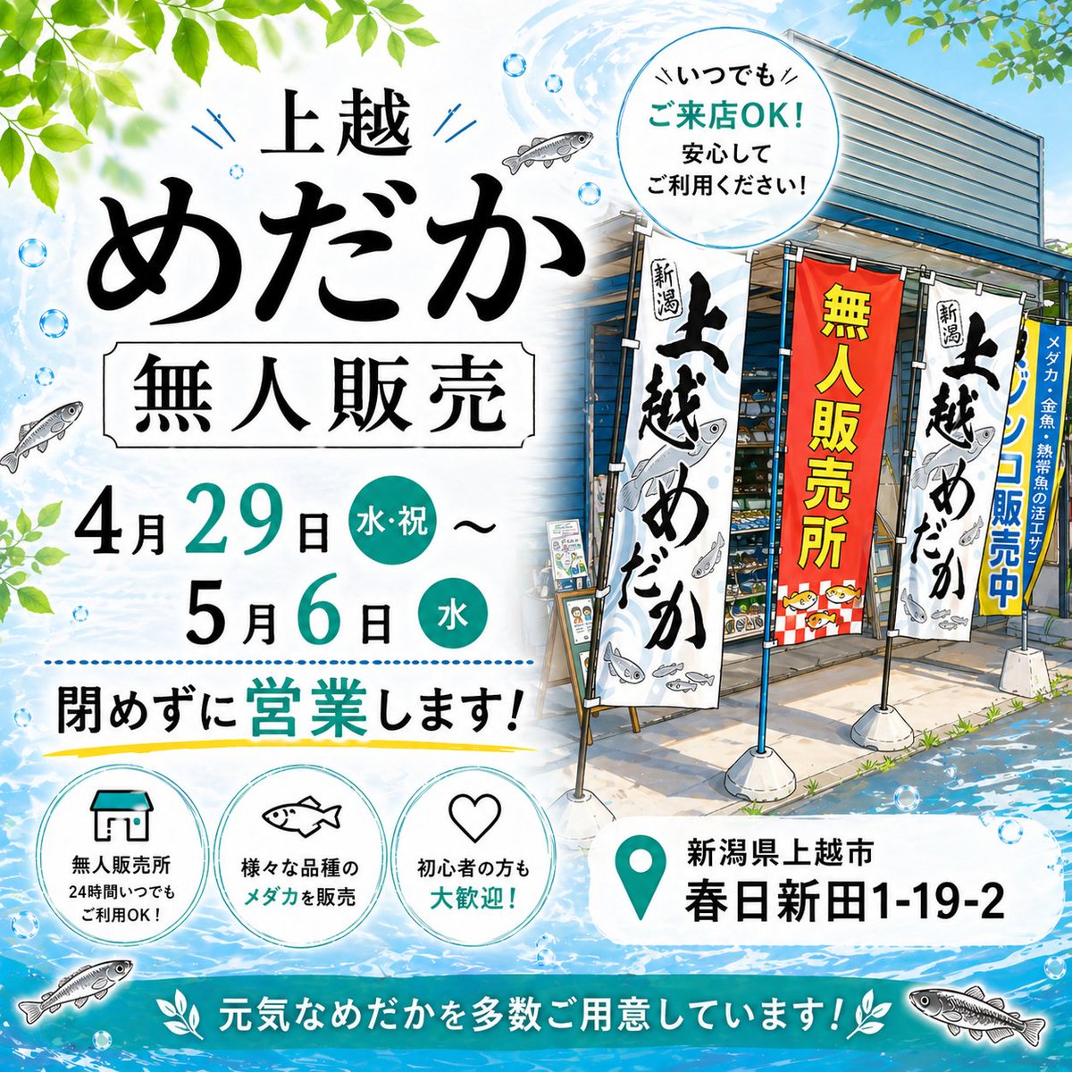 上越めだか(新潟のめだか専門店)無人販売 tweet media