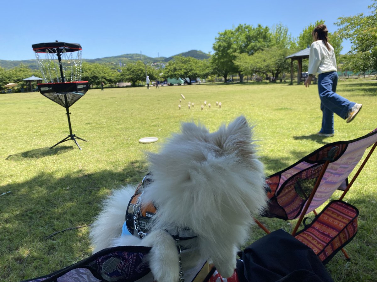 みっきー（Mizuki Takeuchi） tweet media