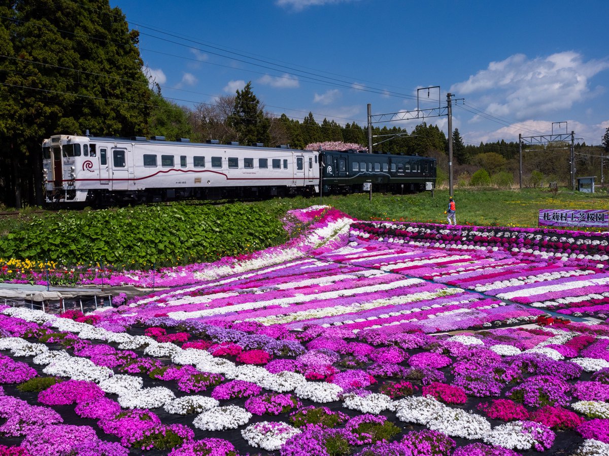 菊正宗＝岸本聡@はこだて📸 tweet media