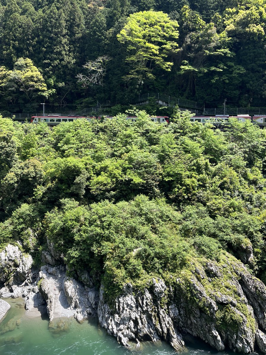 ぴろきち【W773🏍️】 tweet media