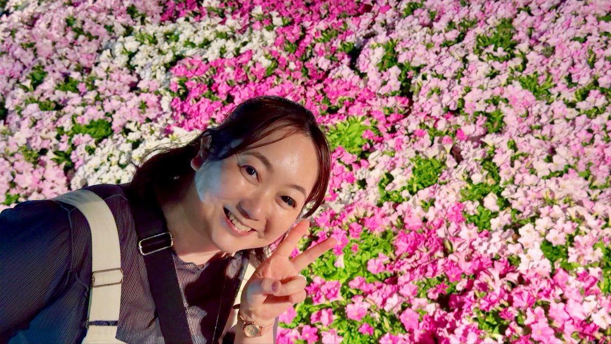 岡本 ナミ tweet media