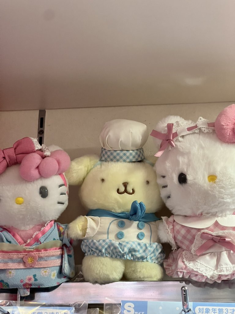 purin5904's tweet photo. Pompompurin overload https://t.co/IuPL7Luxfr
