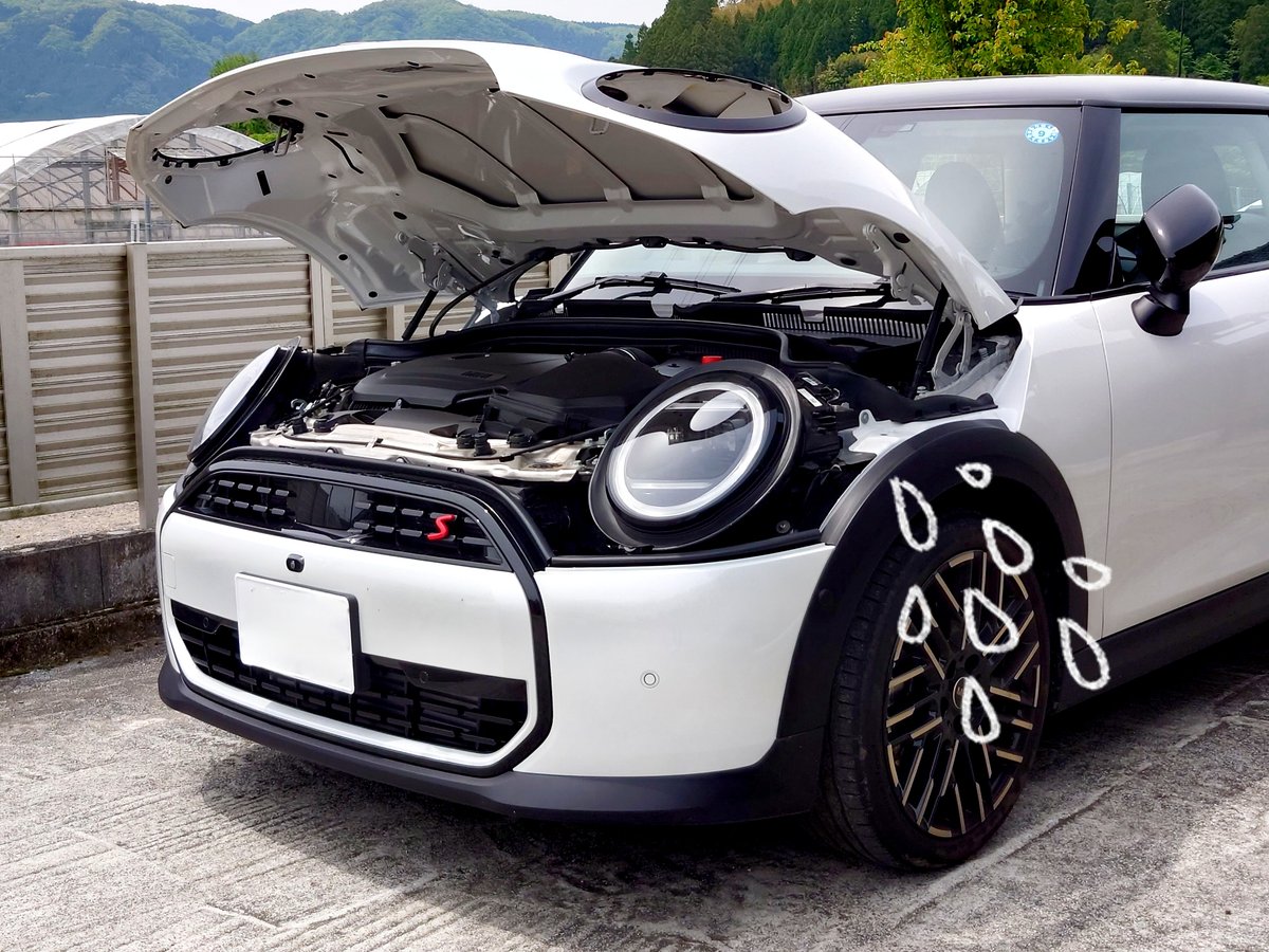 7n39ppbs's tweet image. エンジンあちあちMINIさん💦
頭ぱっかんして冷却中💨
今日は田起こしです🚜
#MINI
