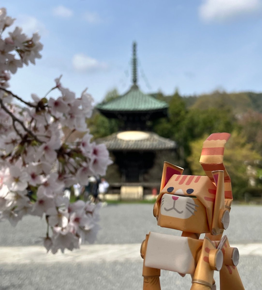 PIPEROID_jp's tweet photo. #清凉寺 多宝塔
#桜 #お花見 #春 #flower
#パイプロイド #PIPEROID #フィギュア #figure #Papercraft
#ペーパークラフト #紙製品 #paperproducts #手作り #紙工作
#手作り雑貨 #ハンドメイド #Handmade #紙もの #紙
#京都観光 #京都旅行 #京都名所 #京都名所めぐり https://t.co/3kzibUakd2