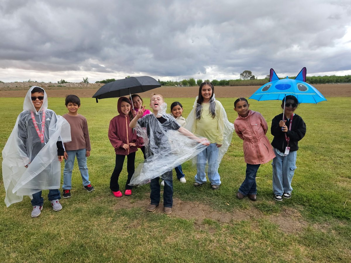 Tom Lea Elementary School tweet media