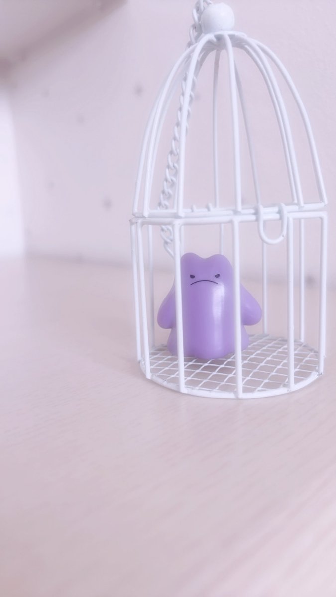 さめ² tweet media