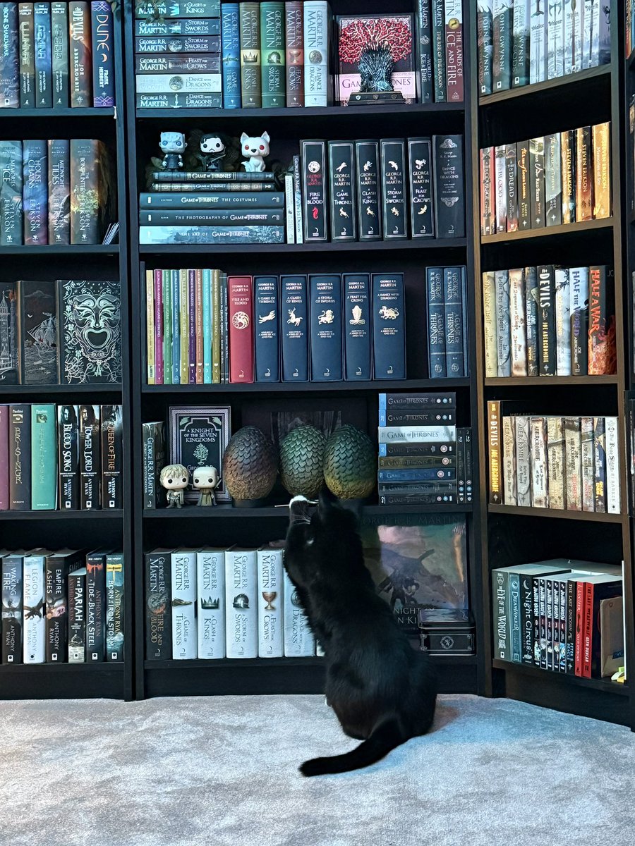 Billmarillion's tweet photo. He’s admiring my ASOIAF shelves. He particularly likes the dragon eggs https://t.co/cbtfpx9q77