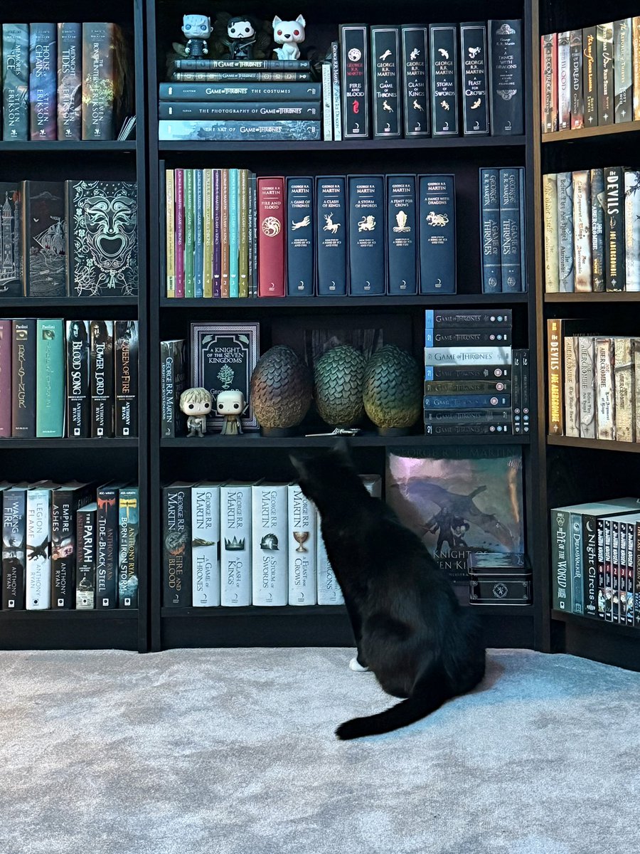 Billmarillion's tweet photo. He’s admiring my ASOIAF shelves. He particularly likes the dragon eggs https://t.co/cbtfpx9q77