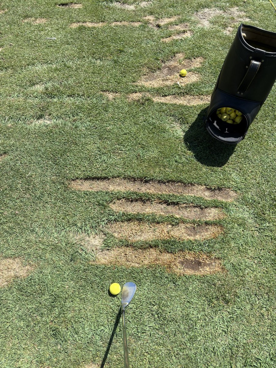 DougSloppy's tweet image. God do I love bent grass. #lines @Kuckleman