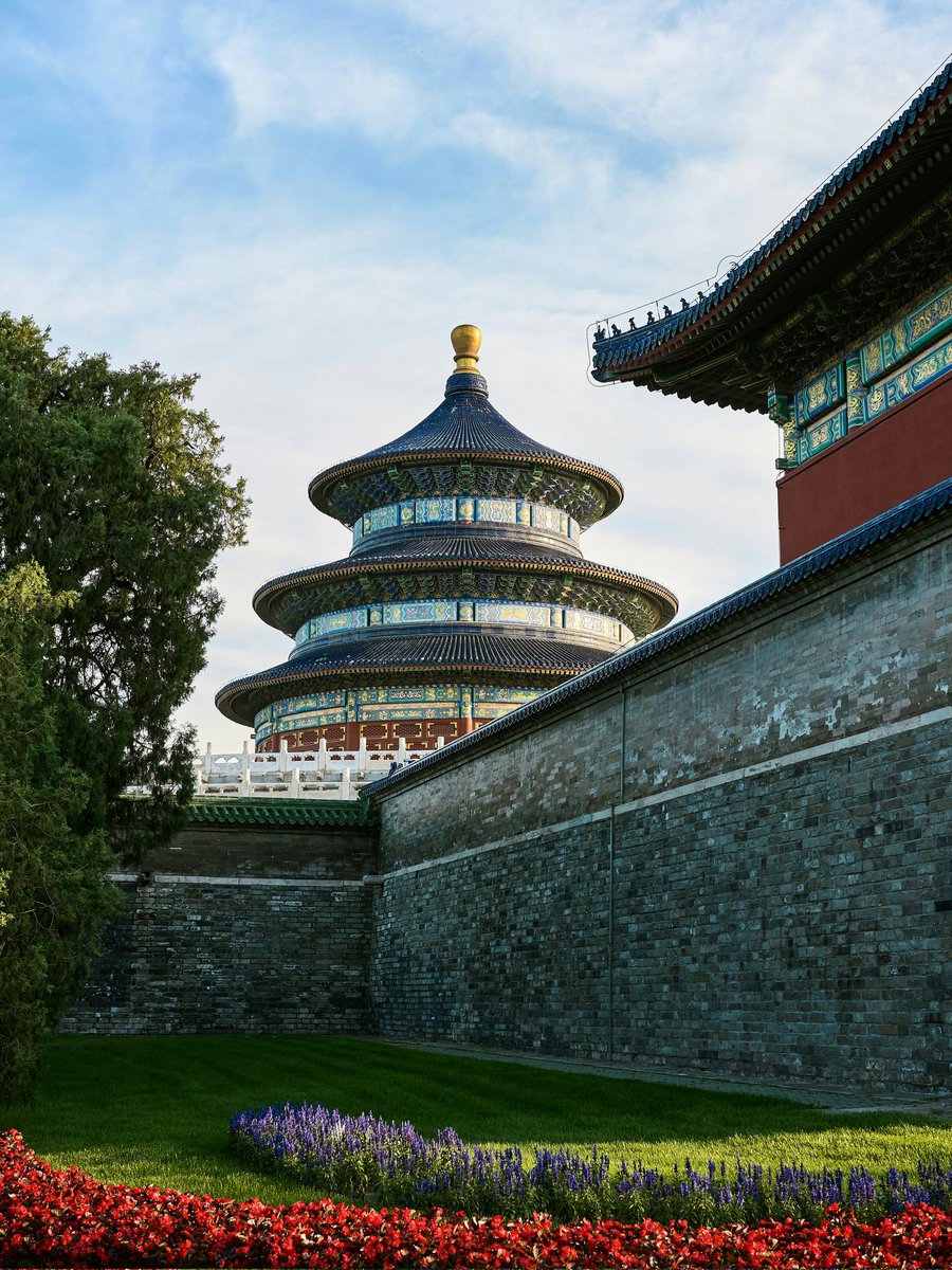 NatureVista_4K's tweet image. Where the Emperor spoke to Heaven. 🏛️✨ Ancient blue standing tall in modern Beijing.
📍 Beijing, China 🇨🇳 
#Beijing #China #Trending