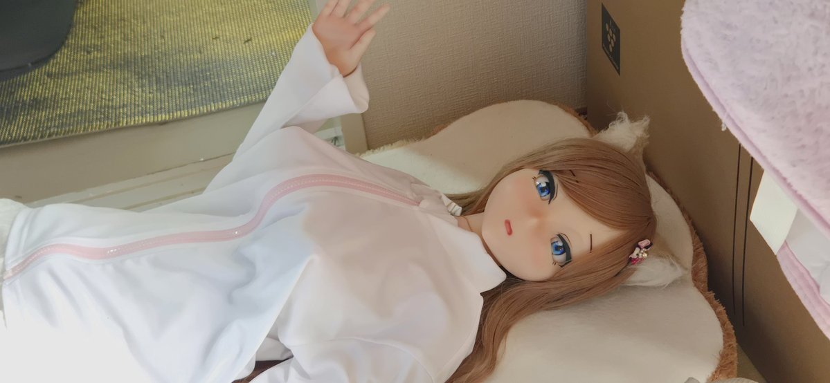 198＠ドール愛好家 tweet media