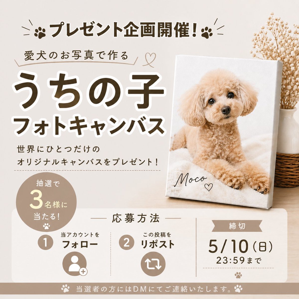 gauru(ガウル) tweet media