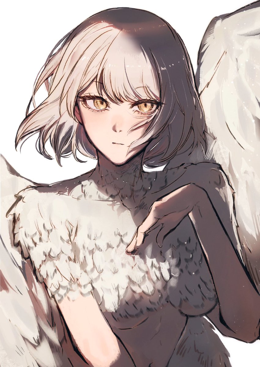 dodo/どう tweet media