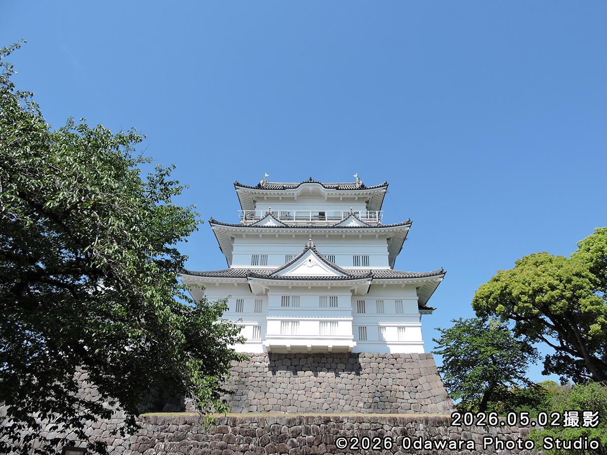 祝20周年!コスプレイベント小田原写真館 tweet media