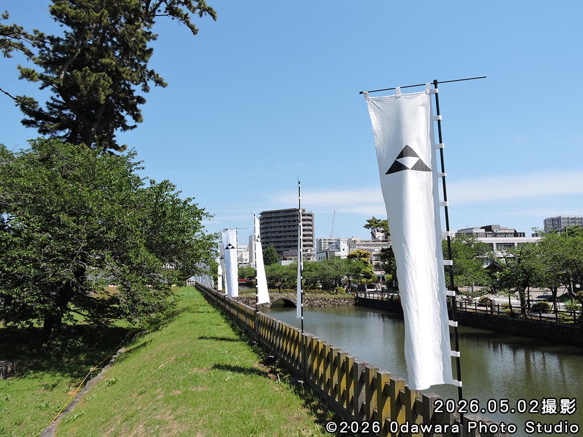 祝20周年!コスプレイベント小田原写真館 tweet media