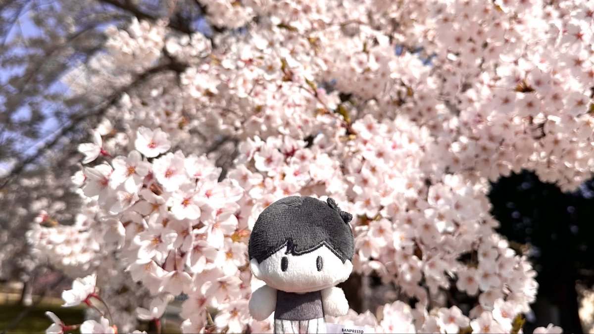 Peachyomo's tweet photo. https://t.co/etPdiIEkHw