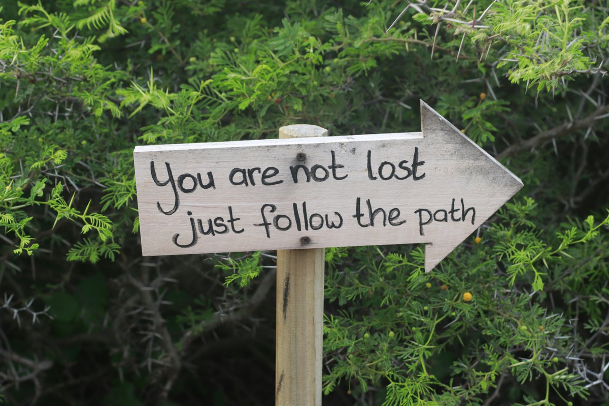 Susan K. Hamilton | Author tweet media