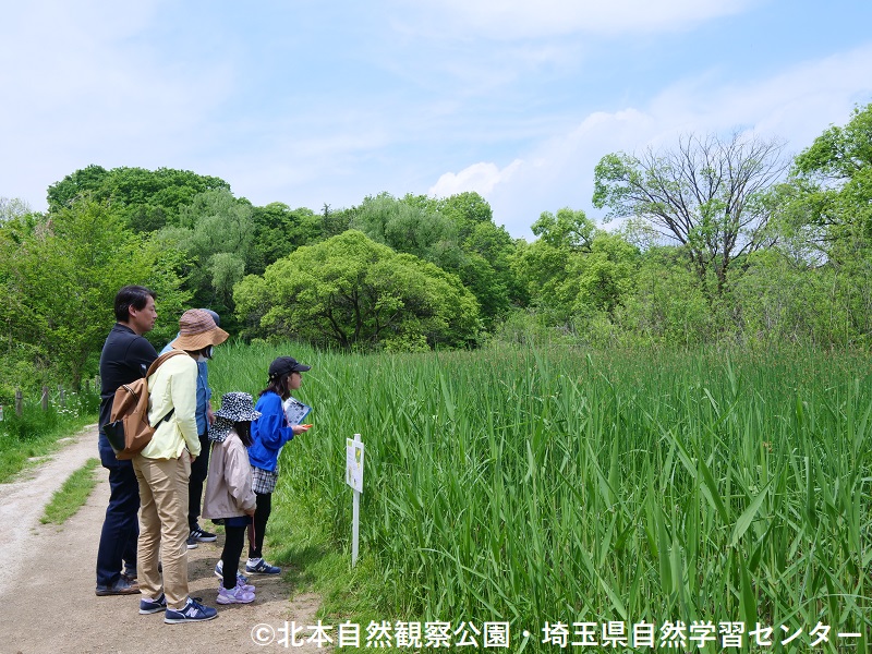 埼玉県自然学習センター【公式】 tweet media