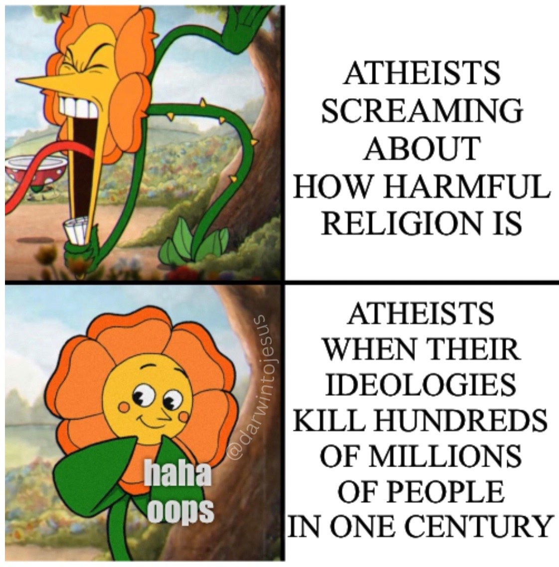 Darwin to Jesus tweet media