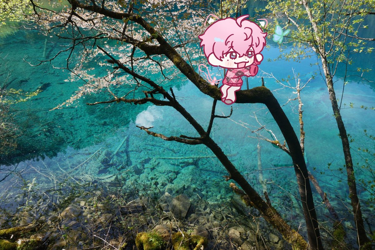 xungt0205's tweet photo. 出门旅行必须携带的东西：cp https://t.co/CG9asBZL8k