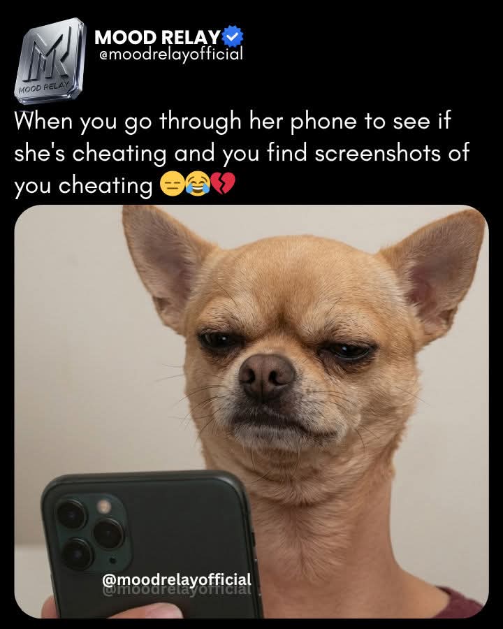 thelamboguy🎭 tweet media