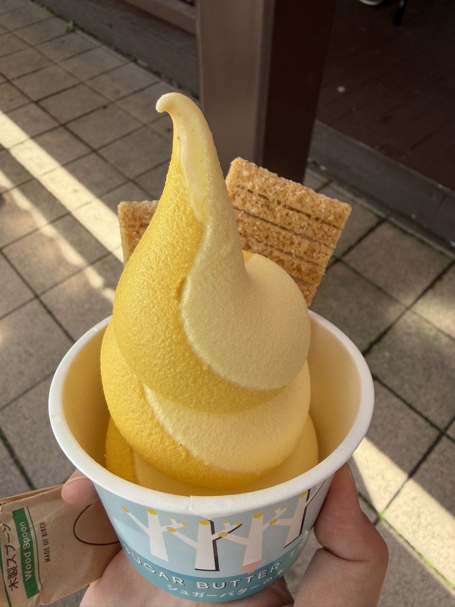 はるぅた tweet media