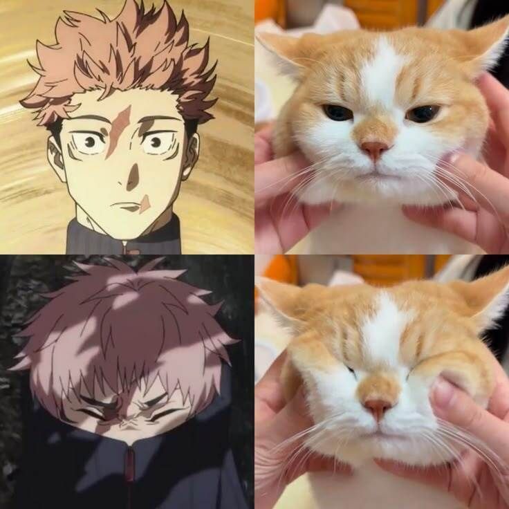 Anime Posts tweet media