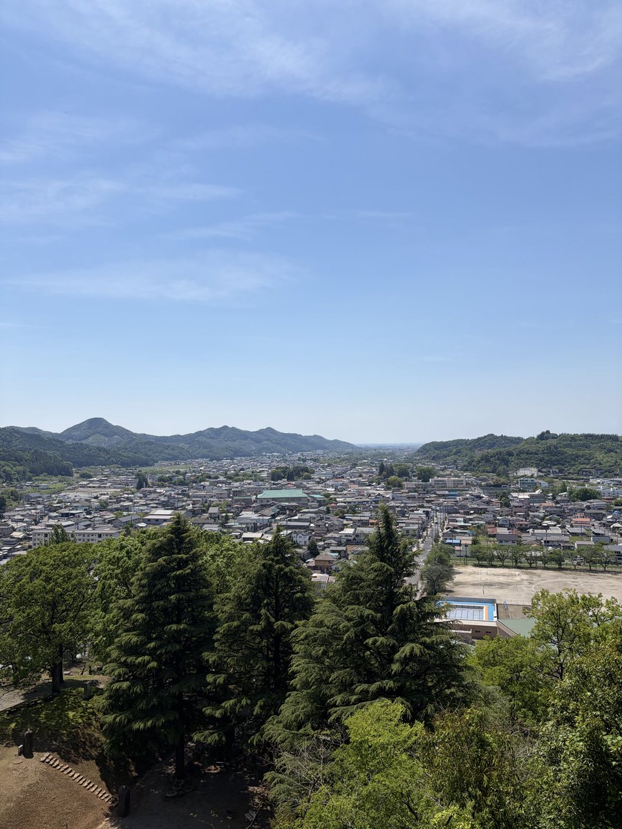 シャロン tweet media