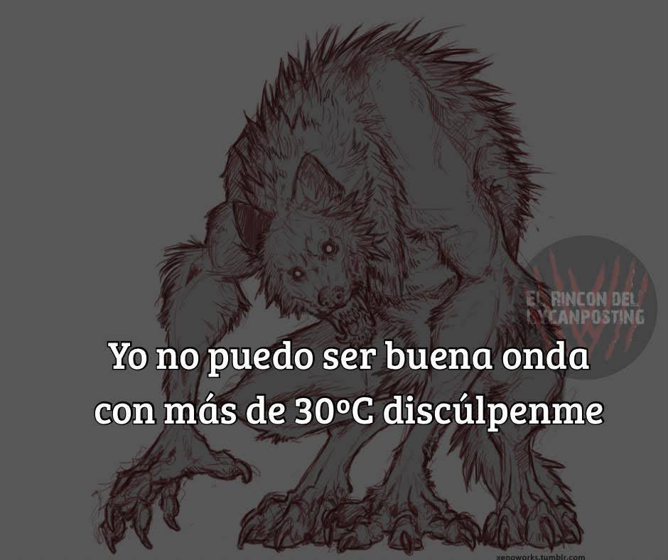 Wolfplot tweet media