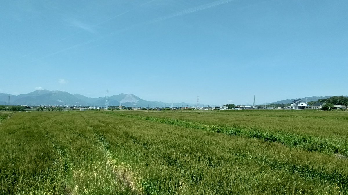 かかし釣具店@店長のしょうもない日常 tweet media