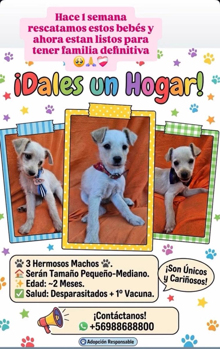 ClauMiauMiau's tweet photo. Gente me ayudan a compartir 🙏 https://t.co/9XsmmsWf70