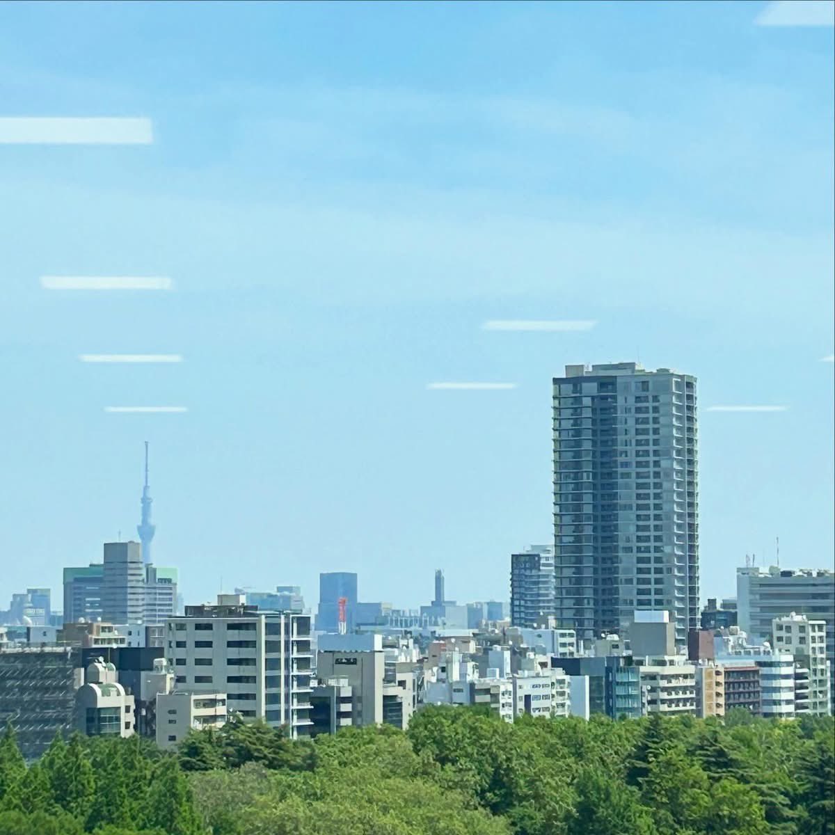 rika fujii tweet media