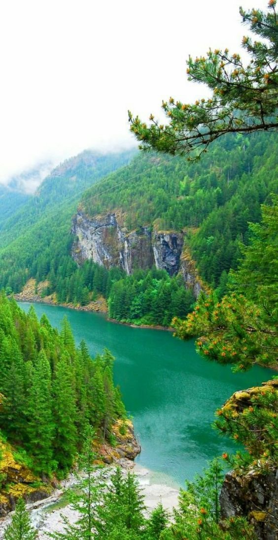 Nature Art tweet media