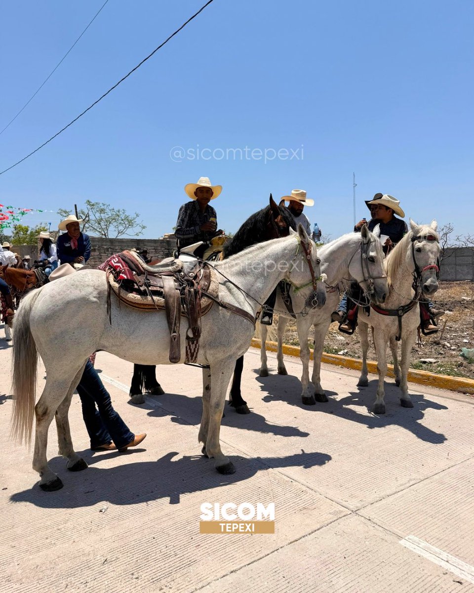 SICOMTepexi's tweet image. 🎉🐴 Así se vive la #feria en San Felipe #Otlaltepec ✨ en honor a los santos apóstoles 🌿 Felipe y Santiago ♥️ 🙏

Hoy se realizó la gran #cabalgata, una de las #tradiciones más representativas de su feria.

#SicomTepexi #Tradiciones #CulturaVivaPuebla